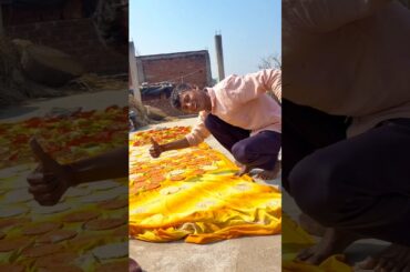 Home made papad Happy Holi 🥰 ##cooking #food #recipe #vlog #vlogging #dailyvlog #foodie #shorts