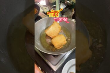 অনুষ্ঠান বাড়ি স্টাইল পনির পাসান্দা রেসিপি 🤤 #panner #ytshort #cloudkitchen #cooking #recipe #food