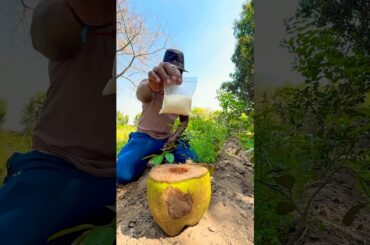 How to Cook Rice in a Coconut #bushcraft #cooking #survival
