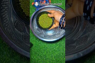 Green Moong Dal Rice#shorts #shortsfeed #cooking #food #healthyfood #youtube #recipe #indianricedish