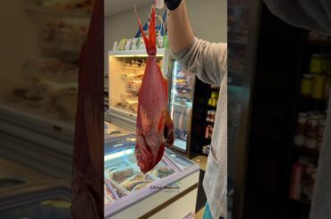 $300 Dry-Aged Red Snapper from Japan | Rare Luxury Sushi Delicacy