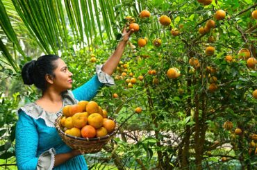 Golden Orange Harvest to Heavenly Chocolate Orange Cake | ASMR Cooking Journey | Traditional Me