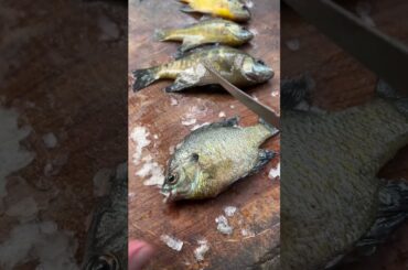 Cooking some whole panfish #fishing #outdoors #cooking