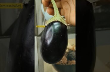 Tasty Nashta😍 #shorts #cooking