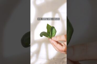 파인 다이닝 바질 시포나드 #shorts