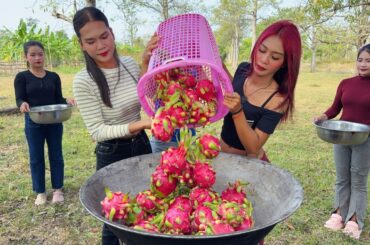 Amazing cooking dragon fruit jelly recipe