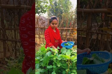 Bambeda Saga Bhaja 😋 #shorts #youtubeshorts #viralshorts #trending #minivlog #cooking #recipe #food