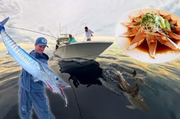 Catching BEST Tasting Fish for Professional Japanese Chef Naoki | Catch + Clean + Cook