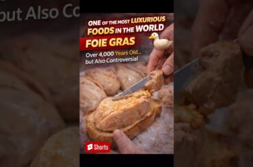 One of the Most Luxurious Foods in the World | Foie Gras #foiegras #streetfood #shots #foodie