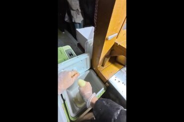 Mochi -Chinese Street Food Live 2026-03-14 14:50:17