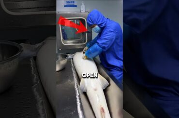 This Disgusting Food Costs How Much!? 🤯