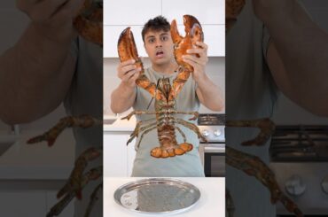 Cooking MASSIVE Maine Lobster