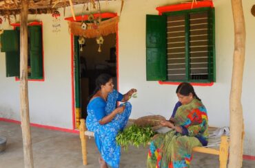 Indian traditional village cooking, village style gongura pulihora, gongura pachadi & gongura pappu
