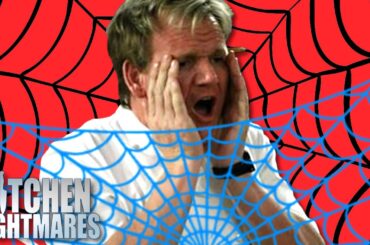 gordon gets webbed up by some sort of man spider | Full Episode | Kitchen Nightmares