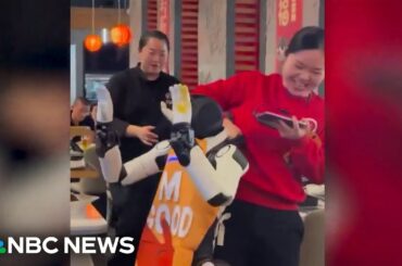 Dancing robot goes rogue in hot pot restaurant