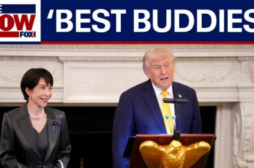 WATCH: Trump welcomes Japanese prime minister for White House dinner