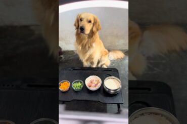 Burrapaadu biryani 😑🤣 #goldenretreiver #dogslife #telugucomedy #youtubepets #shortsindia #cooking