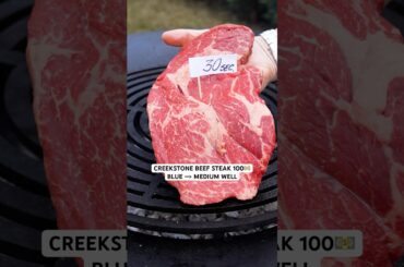 IS IT WORTH $100? BEEF CREEKSTONE #steak #test #cooking #food