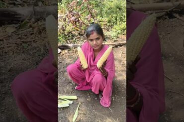 Sunita makka chor hai #food #cooking #recipe #lifestyle #dallyblog #vlog #shorts