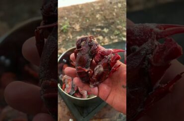 Cooking some seafood #cooking #fishing #outdoors