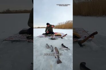 How did you catch and cook so many fish? 🦈😱 #shorts #ytshorts #facts