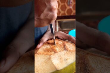 Day-48/90 Nariyal Paneer Masala❤️🤤 #shorts #cooking #dailyvlog