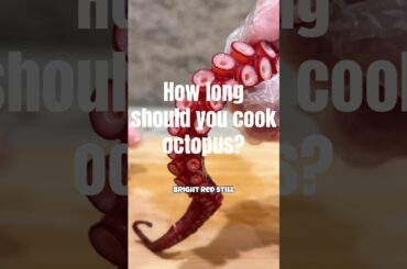 Cooking test Ep.63 Octopus How long should you cook octopus? #cooking
