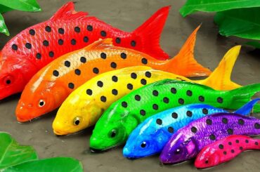 Best Of Small Fish Recipe | MINIATURE Fish Cooking Made EASY with Simple Recipe
