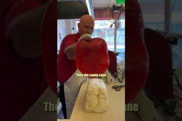 Spend The Day With Logan’s Candies! 🍬