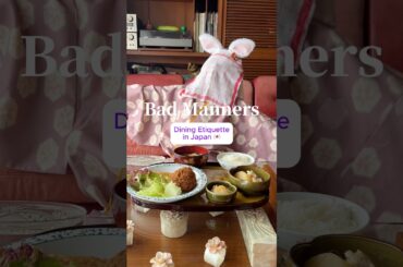 Do’s & Don’ts: dining etiquette in Japan 🇯🇵