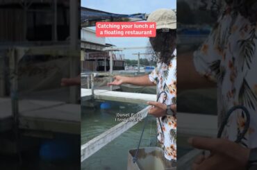 Catching your lunch at a floating restaurant #singapore #fishing