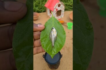 🐠 Indian Glass fish fry 🔎  #fishfry #foodreels #cooking