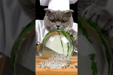 Cat Chef Cuts Glass Watermelon 🍉 Perfect ASMR Loop