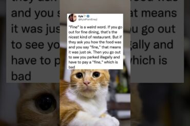 "Fine" is a weird word. If you go out for fine dining, that's the nicest kind of restaurant. But if