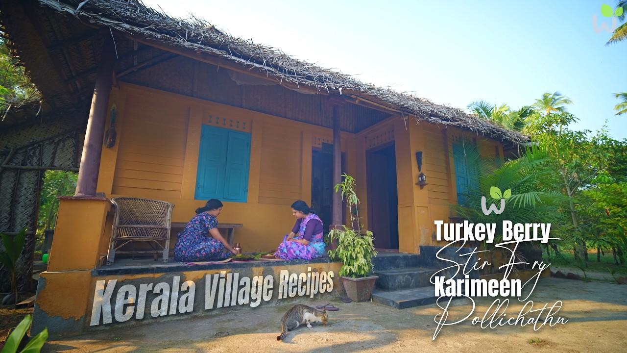 Kerala Village Recipes | Turkey Berry Stir Fry & Karimeen Pollichathu | Authentic Kerala Recipes. Kerala Village Recipes | Turkey Berry Stir Fry & Karimeen Pollichathu | Authentic Kerala Recipes.