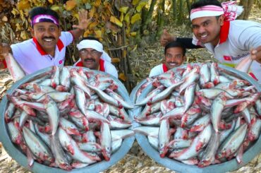 Myanmar Special Pabda fish & Doi Chicken curry cooking for village people | villfood Kitchen