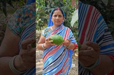 Mummy Ne Banaya Papita Ki New sabji #shorts #cooking # #viral #food #desi  #villagelife #dailyvlog