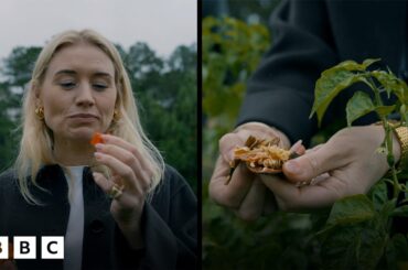 Why farm-to-table isn't just a 'trend' in Atlanta | BBC Global