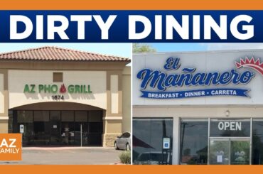 Health inspectors find dead lobster, expired chicken at Phoenix-area restaurants