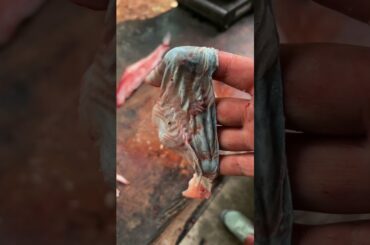 Did I waste the meat? #fishing #cooking #outdoors