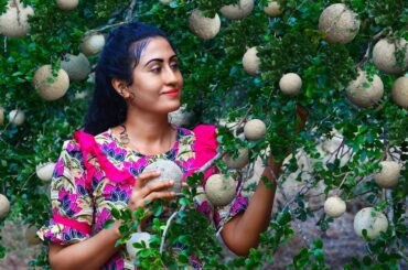 Wood Apple Delights! 🍈 That Sour & Sticky Pulp To Jam, Ice Packets, Tasty Masala & more!