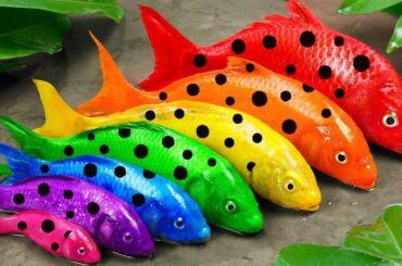 Best Of Small Fish Recipe | MINIATURE Fish Cooking Made EASY with Simple Recipe