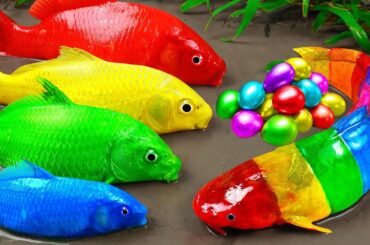 Best Of Small Fish Recipe | MINIATURE Fish Cooking Made EASY with Simple Recipe