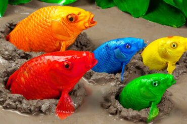 Best Of Small Fish Recipe | MINIATURE Fish Cooking Made EASY with Simple Recipe