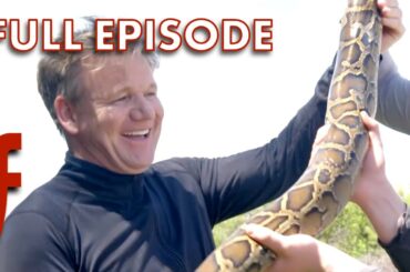Gordon Ramsay Hunts & Cooks a 9ft Python in the Florida Everglades | Full Episode | The F Word