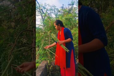 Sajana Chuin Charu 😋 #shorts #youtubeshorts #viralshorts #trending #minivlog #cooking #recipe #food