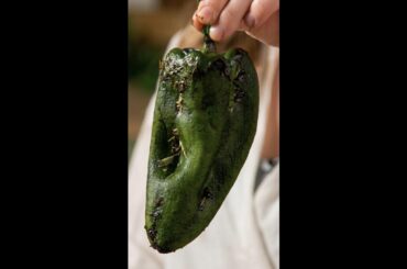 Poblano Peppers 101