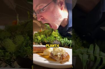 Would You Call This Fine Dining? (@highspeeddining)