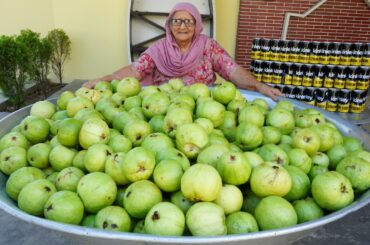 Healthy & Refreshing Guava Juice | Summer Special Drink | Veg Village Food