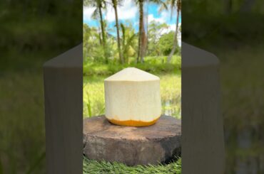 Premium Cuts for Fine Dining Restaurants